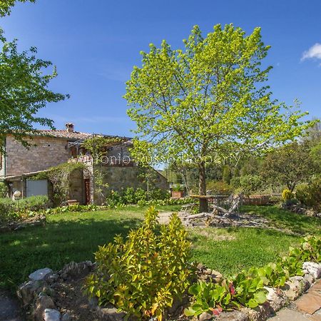 Ca'Novae - Tuscany Farmhouse Montieri Exterior photo